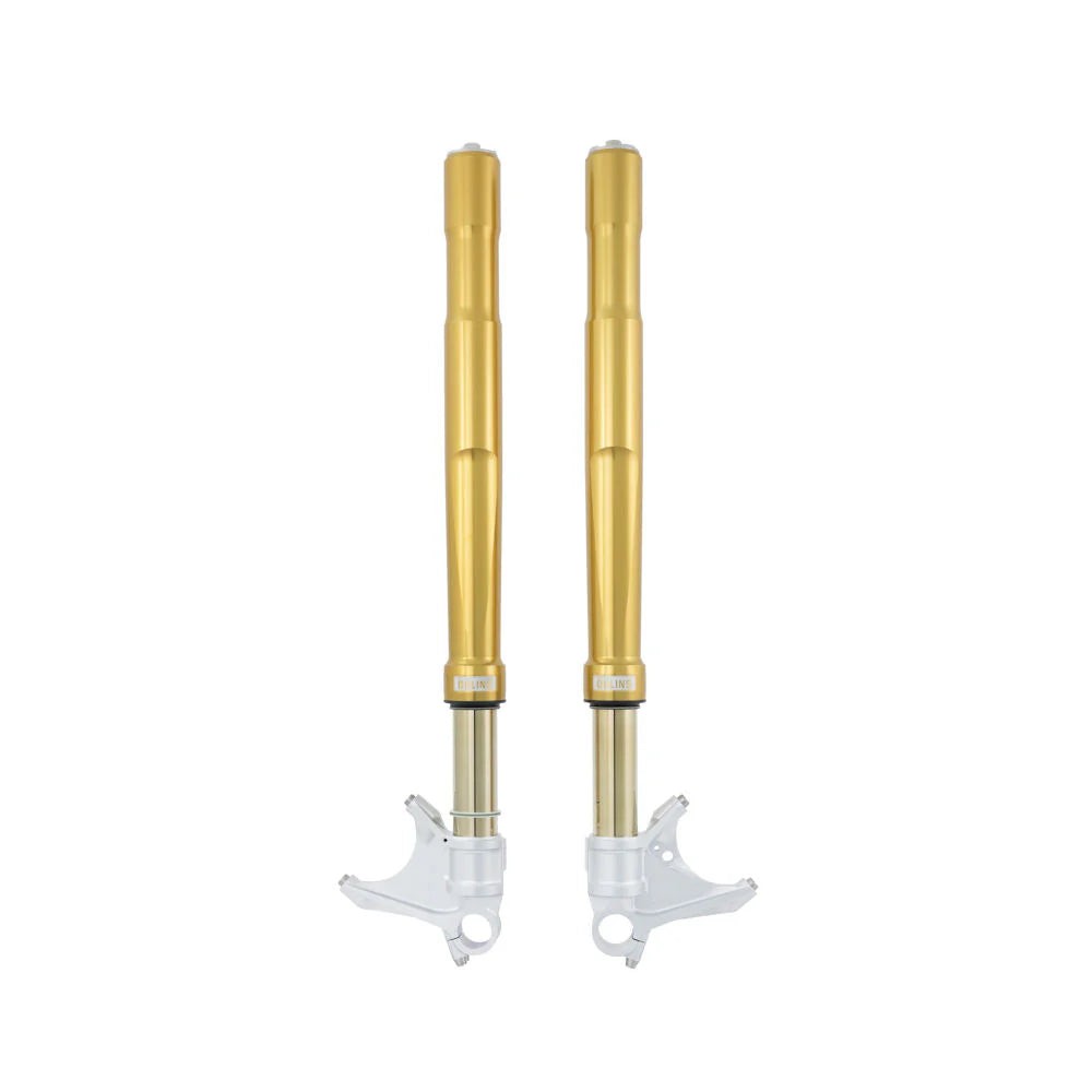 Ohlins FGRT 231 Road & Track Gold Front Forks For Panigale V2 1